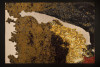 bme-comporta-tapis-1