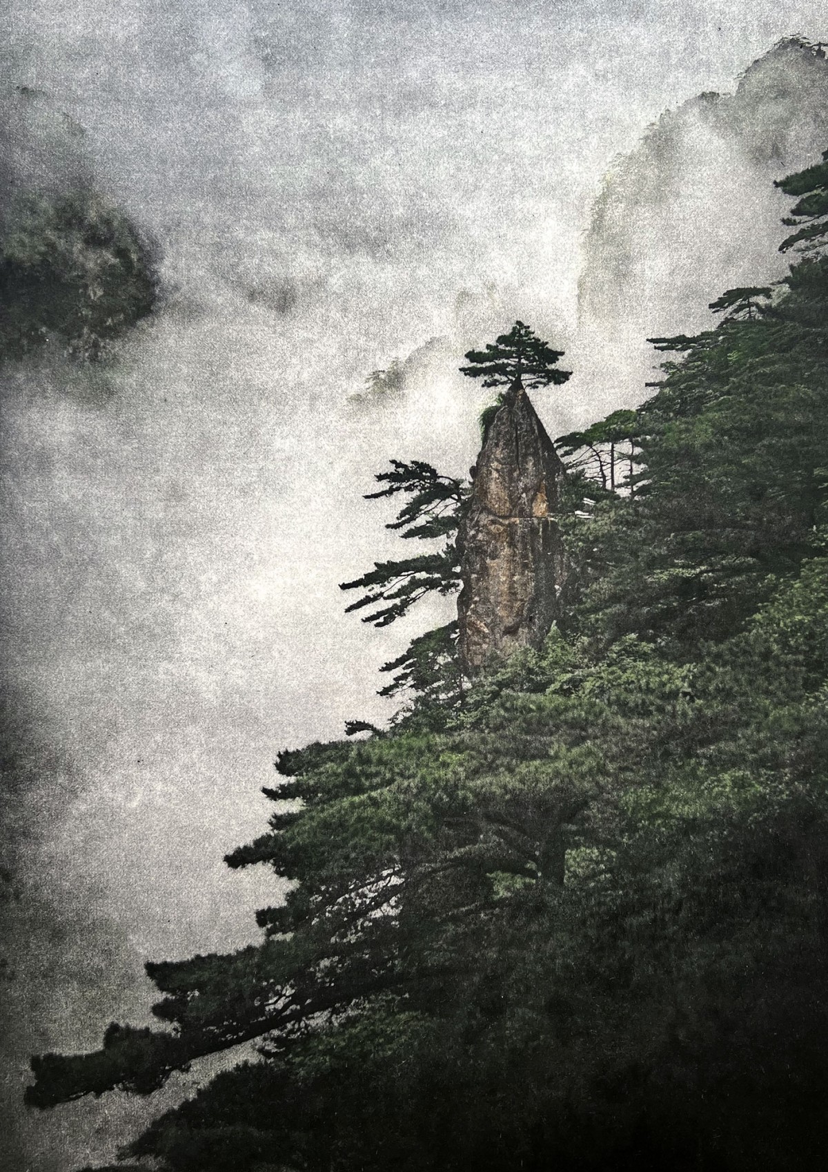 vf_csotanzagastaldi_lotonero_colorebirth_galeriebrunomoinardeditions_2