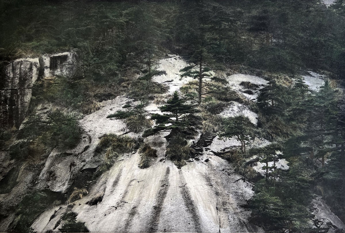 vf_csotanzagastaldi_lotonero_colorebirth_galeriebrunomoinardeditions_1