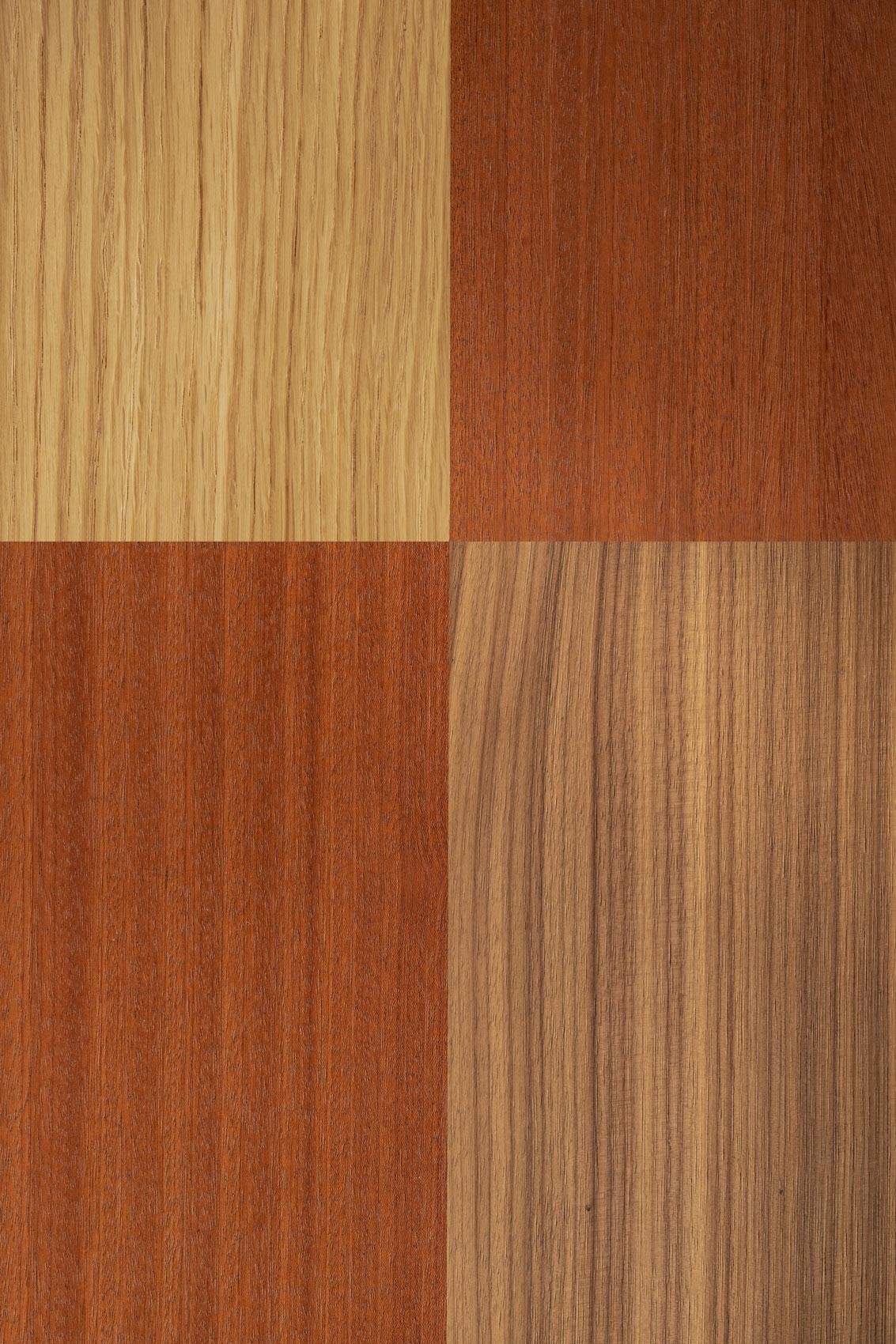 bme-2022-leyden-table-de-repas-5-bd